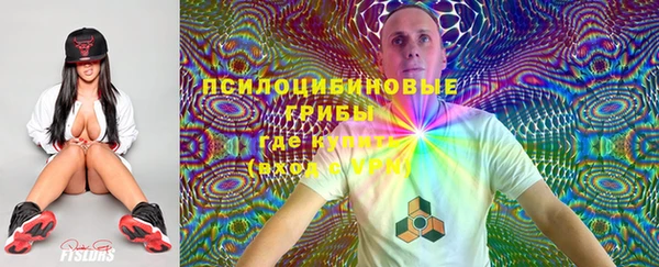 синтетический гашиш Каменск-Шахтинский