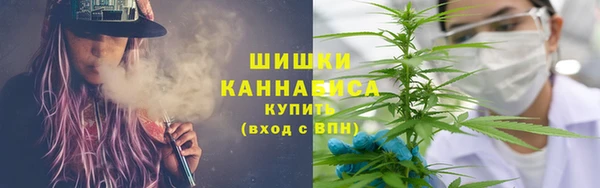 бошки Каменногорск