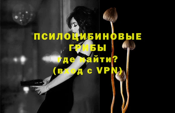бошки Каменногорск