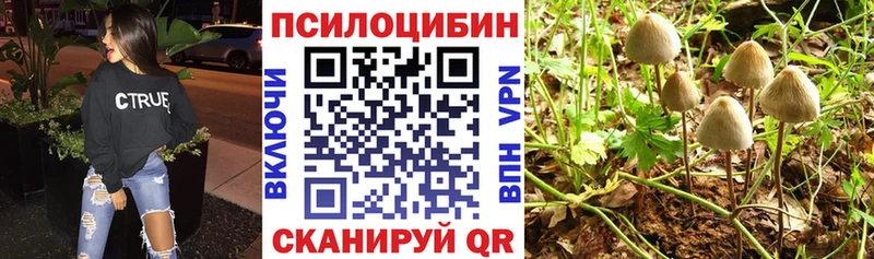 Псилоцибиновые грибы Magic Shrooms  Купить где  Спасск-Рязанский 